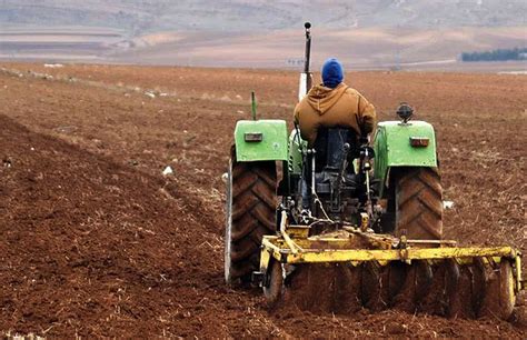 Campagne labours semailles 1647 hectares à emblaver à Ghardaïa Horizons