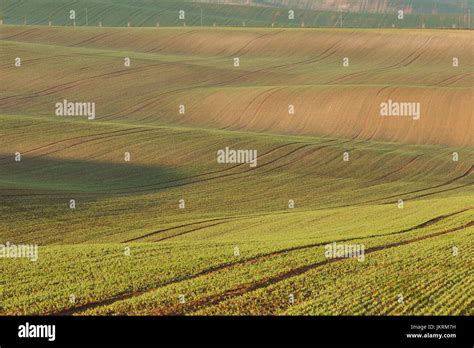 South Moravian fields Stock Photo - Alamy