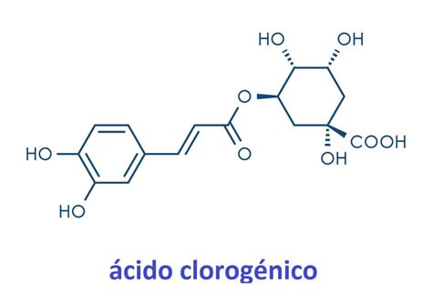Para Que Serve O Ácido Clorogênico