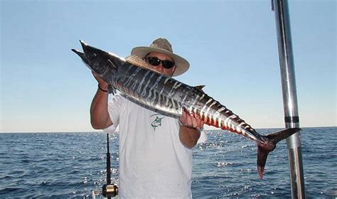 Deep Sea Fishing Charters In California - Unique Fish Photo