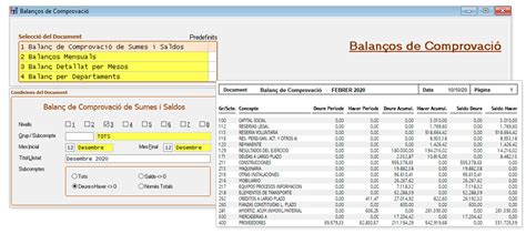 Conta Programa De Comptabilitat I Fiscalitat Per Empreses I Assessories