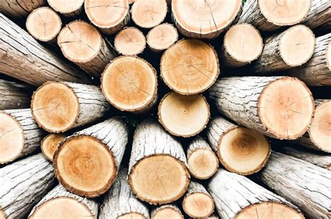 Stacked Wood Logs Premium Ai Generated Image