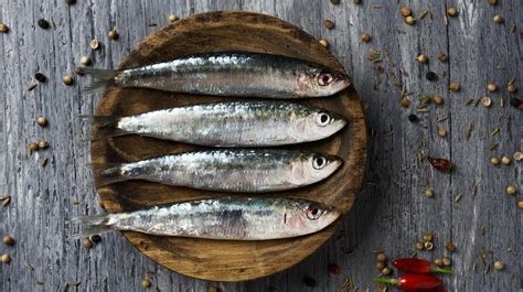 Beneficios De Las Sardinas Y C Mo Diferenciar Las Que Est N En Buen Estado