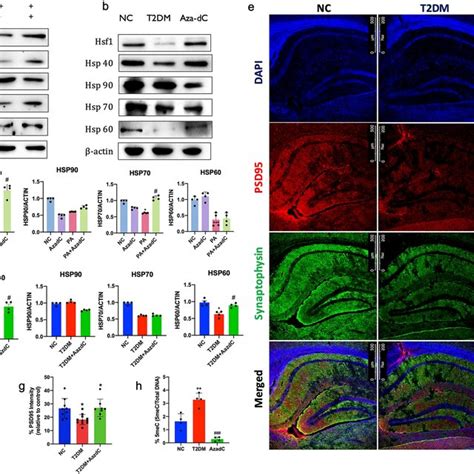 Restoration Of Neuroinflammatory Mediators And Oxidative Stress With