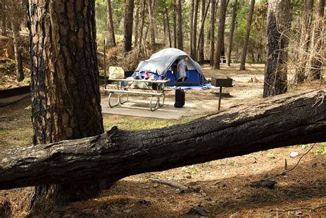 Bastrop State Park reopens after fire – Collective Vision | Photoblog ...