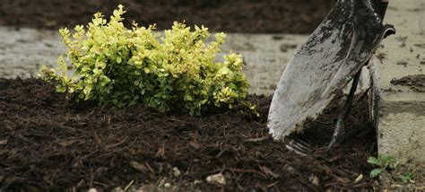 How Many Square Feet Will A Cubic Yard Of Topsoil Cover