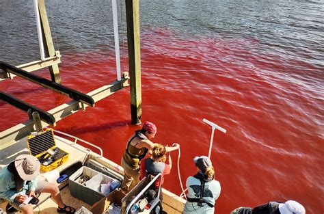 Blood Red Water In Texas