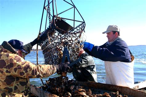 Interactions Between Ocean Acidification And Eutrophication In Chesapeake Bay And Implications