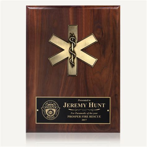 9 X 12 Genuine Walnut Ems Metal Casting Plaque Engraving Awards