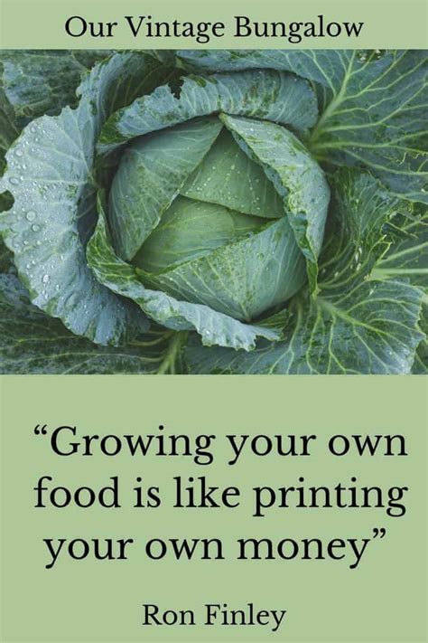 Funny Inspiring Vegetable Gardening Quotes Our Vintage Bungalow