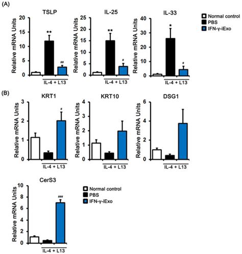 Ijms Free Full Text Exosome From Ifn γ Primed Induced Pluripotent