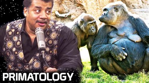 StarTalk Podcast: Cosmic Queries – Primatology - YouTube