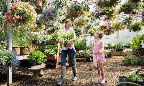 Carpenders Park Garden Centre In Watford Groupon