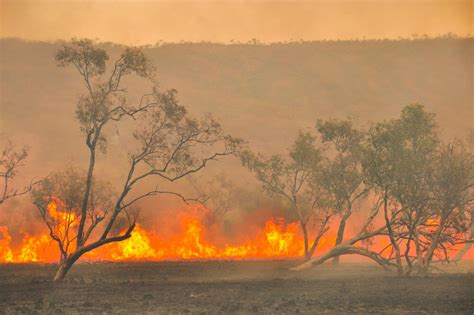 Firefighters-Begin-Mopping-up-After-Major-WA-Bushfires - Bee2Bee