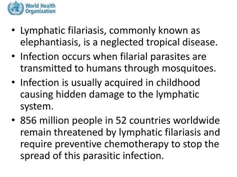 Patofisiologi Filariasis