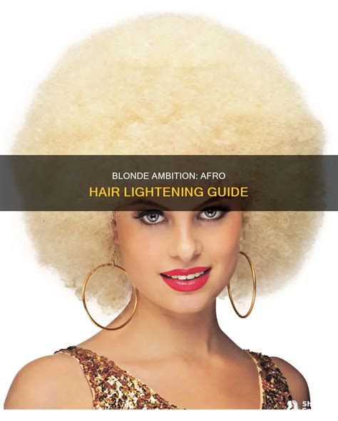 Blonde Ambition Afro Hair Lightening Guide ShunSalon