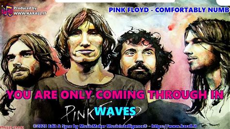 Pink Floyd Comfortably Numb Karaoke Karall Youtube