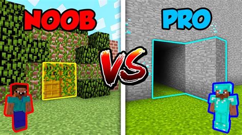 Minecraft Noob Vs Pro Secret Door In Minecraft Youtube