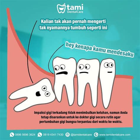 Mengenal Impaksi Gigi Bungsu Dan Penyebab Impaksi Gigi Bungsu Tami