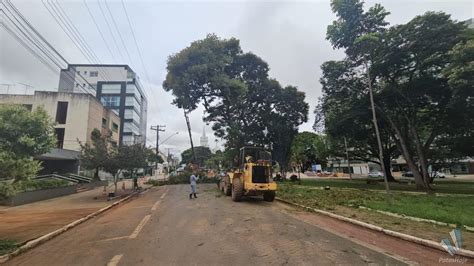 Corte de árvore gigante interdita o trânsito em trecho da avenida