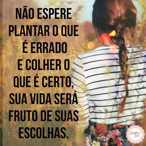 Você só colhe o que plantou Frases inspiracionais Frase para