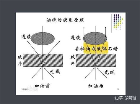 显微镜油镜的放大倍数和数值孔口径有什么关系？ 知乎