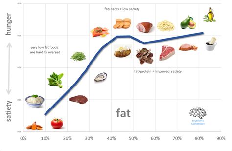 Making Sense Of The Food Insulin Index Optimising Nutrition