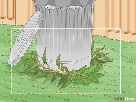 4 Ways to Get Rid of a Maggot Infestation - wikiHow