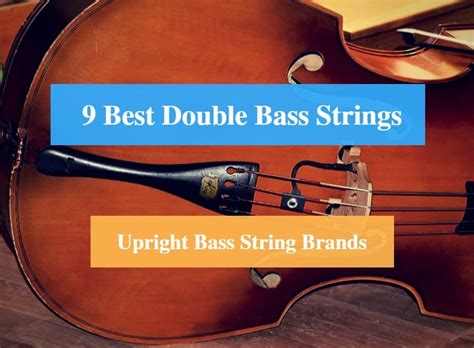 9 Best Double Bass String Reviews 2022 Best Upright Bass String Brands Cmuse