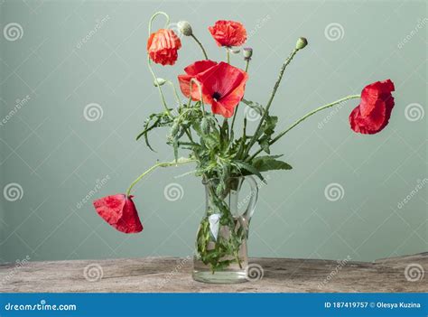 Bouquet Of Red Poppies In A Small Glass Vase Stock Image Image Of