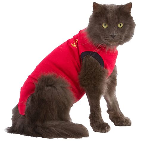 Medical Pet Shirt Katze XXS 1 St Shop Apotheke