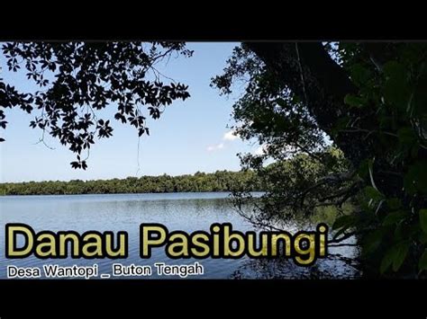 VIEW DANAU PASIBUNGI Desa Wantopi Kec Mawasangka Timur Kab Buton