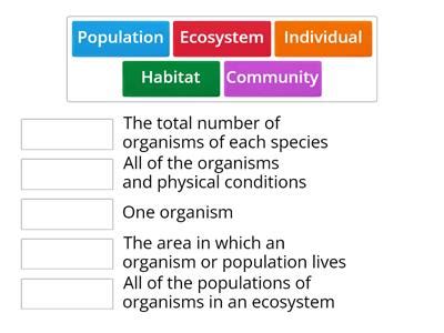 Ecosystem Teaching Resources