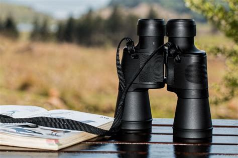 Essentials of Beginning Birdwatching: Must-Have Equipment List