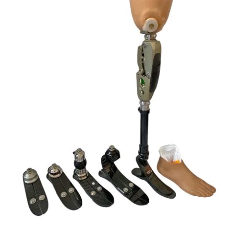 prosthetic orthotic leg prosthetic leg artificial leg artificial