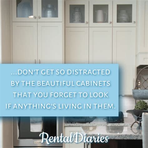 Avoiding Rental Regret: Three Tips to Rent Better | RentalDiaries.com