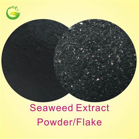 China Powder Soluble Brown Seaweed Extract Powder Organic Fertilizer