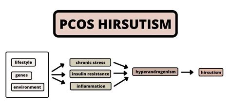 PCOS Hirsutism Explained & How To Reverse It - Holistic Nerd