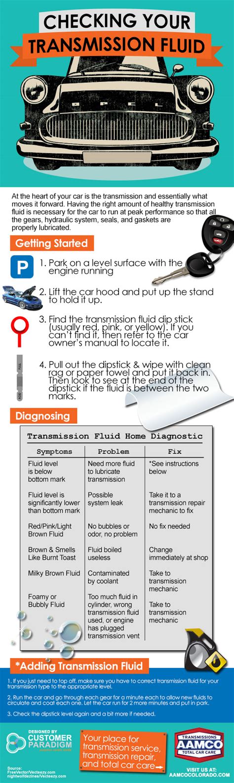 How To Check Gear Oil Level In Car Carli Reeder