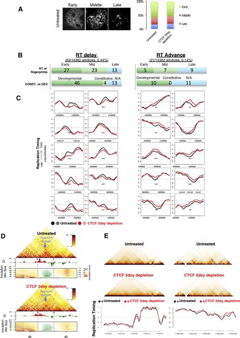 Identifying Cis Elements For Spatiotemporal Control Of Mammalian Dna