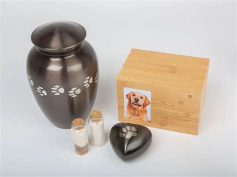 Animal Cremation Services Procare Pet Cremations