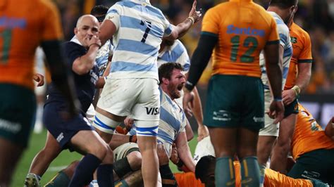 Wallabies 2023: Argentina shock Australia to heap pressure on Eddie ...