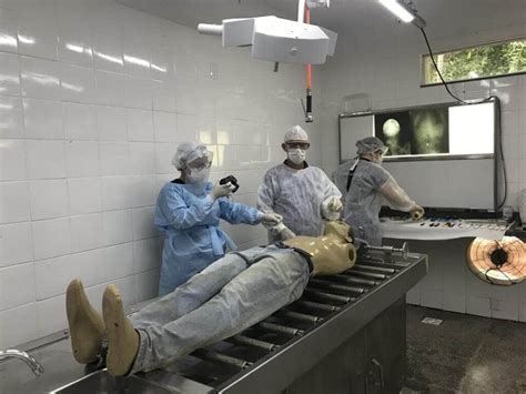 Quanto Ganha Um Tecnico Em Necropsia - Saiba como é elaborado o laudo de necropsia do IML