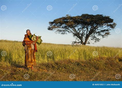 Ethiopian Woman And Acacia Tree Editorial Photography Image Of Tourist Editorial 46931852