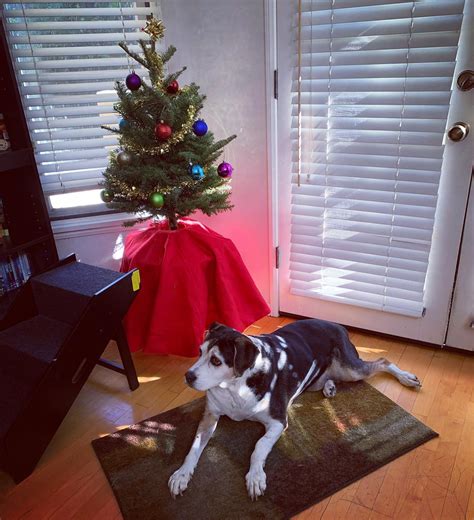 Ellie Araiza (Actress/Singer)