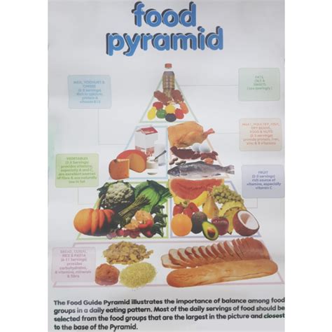 Food Pyramid Poster