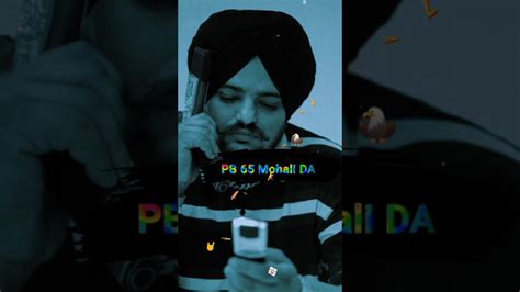 Pb Mohali Da Sidhu Moose Wala Short Sidhumoosewala Youtube