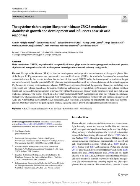 The Cysteine Rich Receptor Like Protein Kinase Crk Modulates