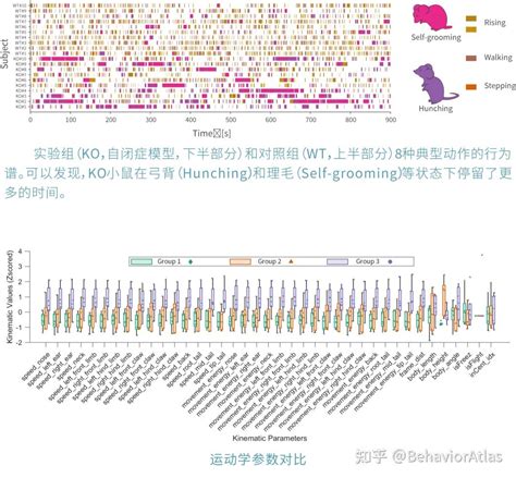 3d Ai 三维精细行为分析系统 知乎