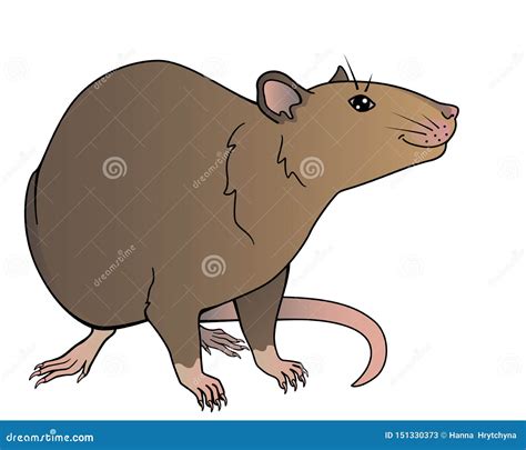 A Smiling Rat Is A Symbol Of 2020 Chinese New Year Of The Rat Stock